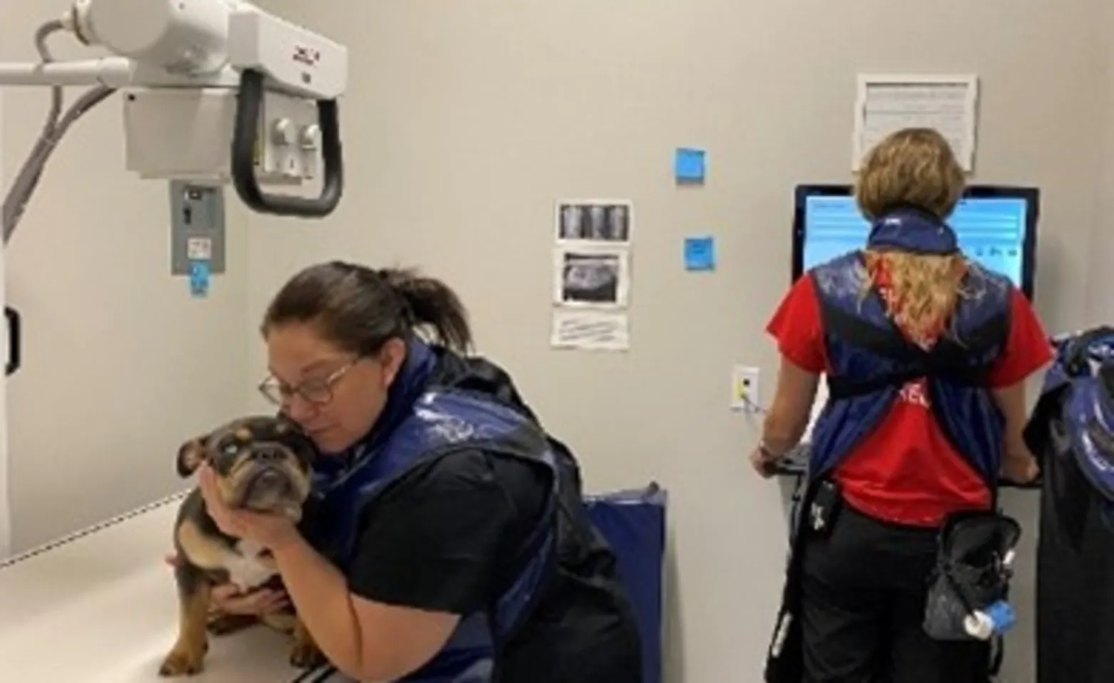 Support Staff with dog at Animal Care Center of Plainfield